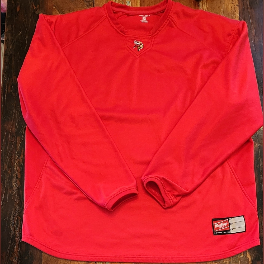 Men's 2XL Minnesota Vikings NFL  Long Sleeve shirt